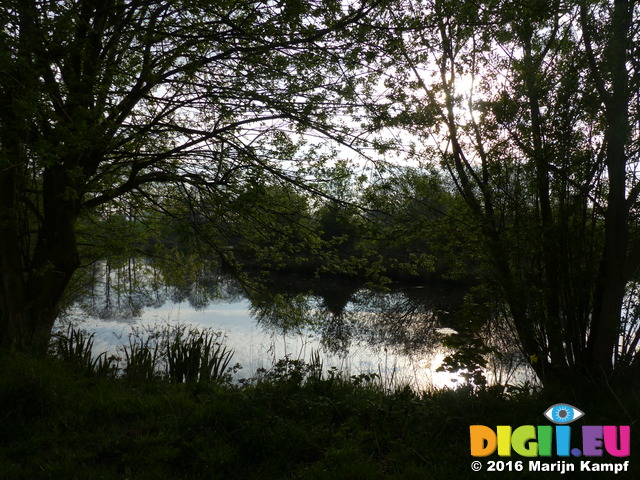 FZ028960 Pond on campsite